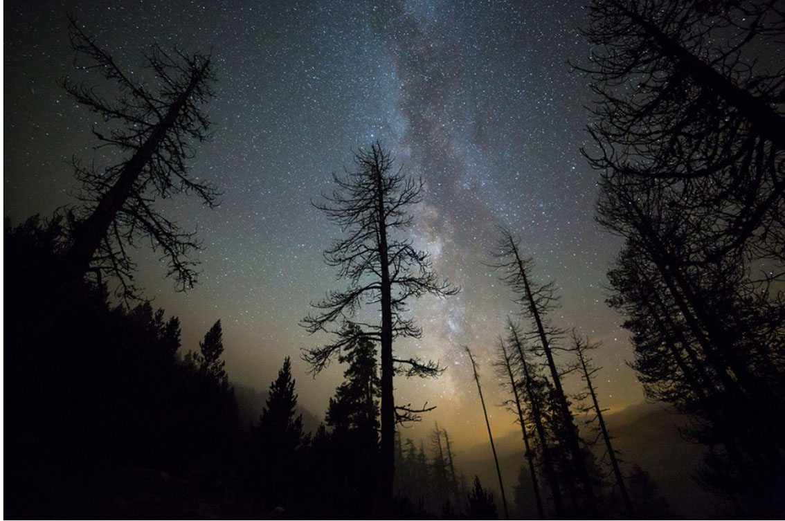 Fotografía de naturaleza realizada por Sergi Roel