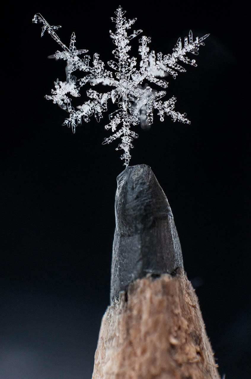 Fotógrafo captura copos de nieve con un grado de detalle nunca visto