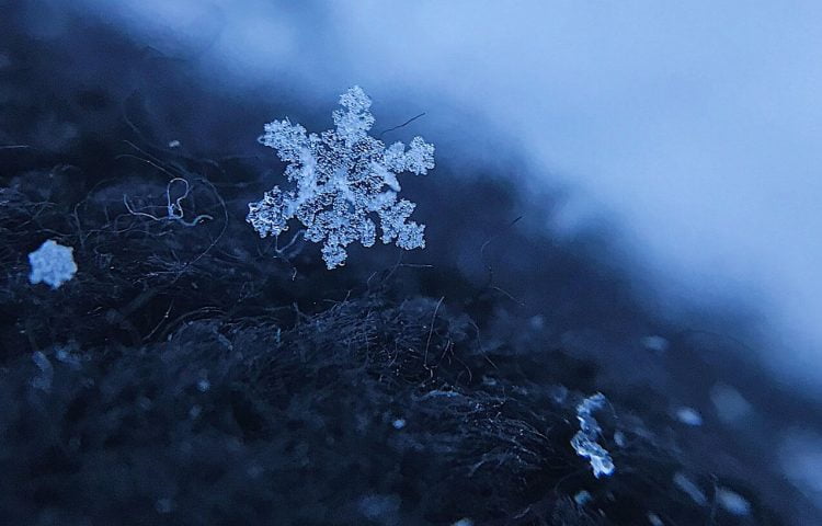 Cómo fotografiar la geometría de los copos de nieve con gran detalle