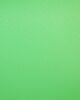 Fondo de Vinilo Savage Verde Croma 2,75x6m