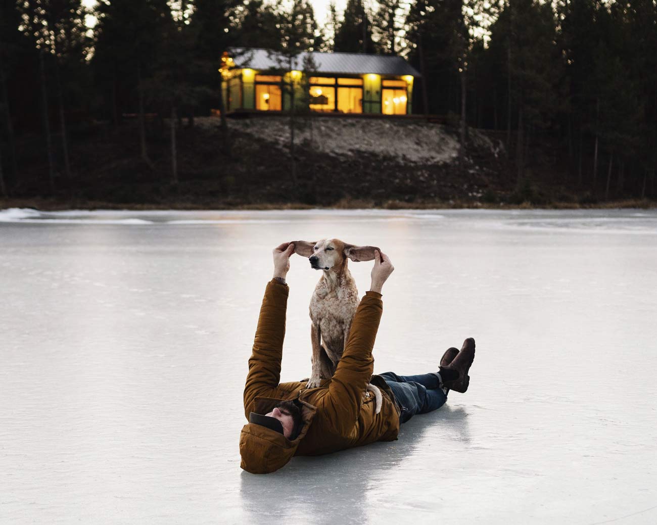Retrato emocional de perro por Theron Humphrey