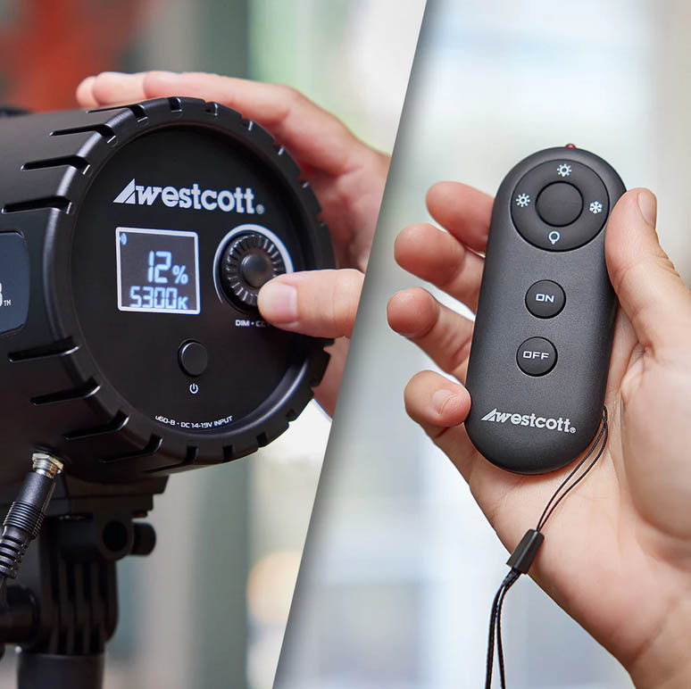 Focos LED Westcott U-60 con control a distancia