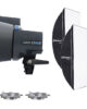 Kit Elinchrom D-LITE RX ONE Dual Studio