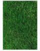 Fondo de vinilo Westcott X-Drop Green Grass 150x213cm