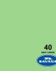 Fondo de papel Savage Mint Green 1.35x11m (Verde Menta)