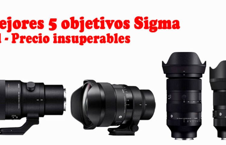 5 objetivos Sigma de gran calidad y rendimiento