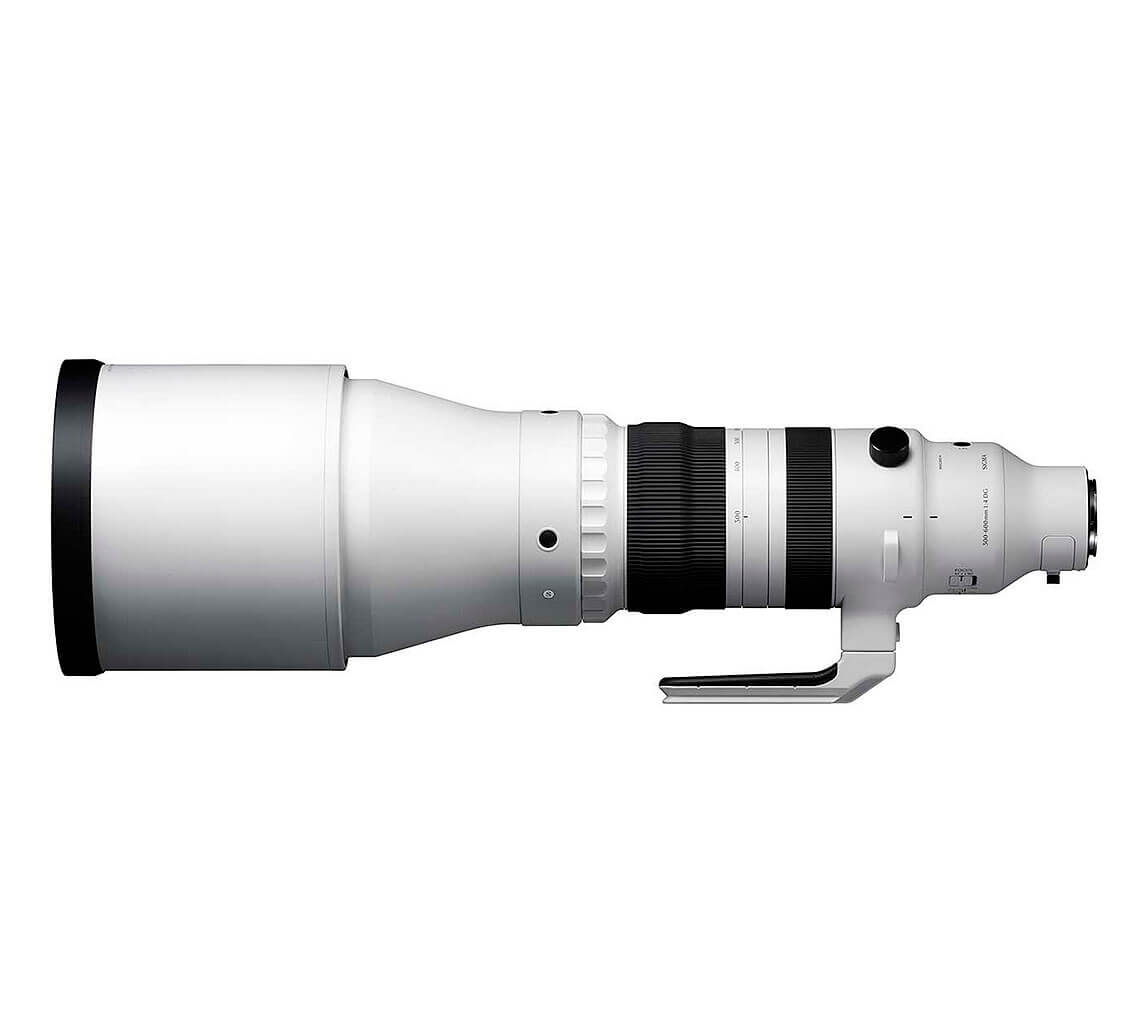 Sigma 300-600mm F4 DG OS para Sony | Teleobjetivo Profesional de Alto Rendimiento