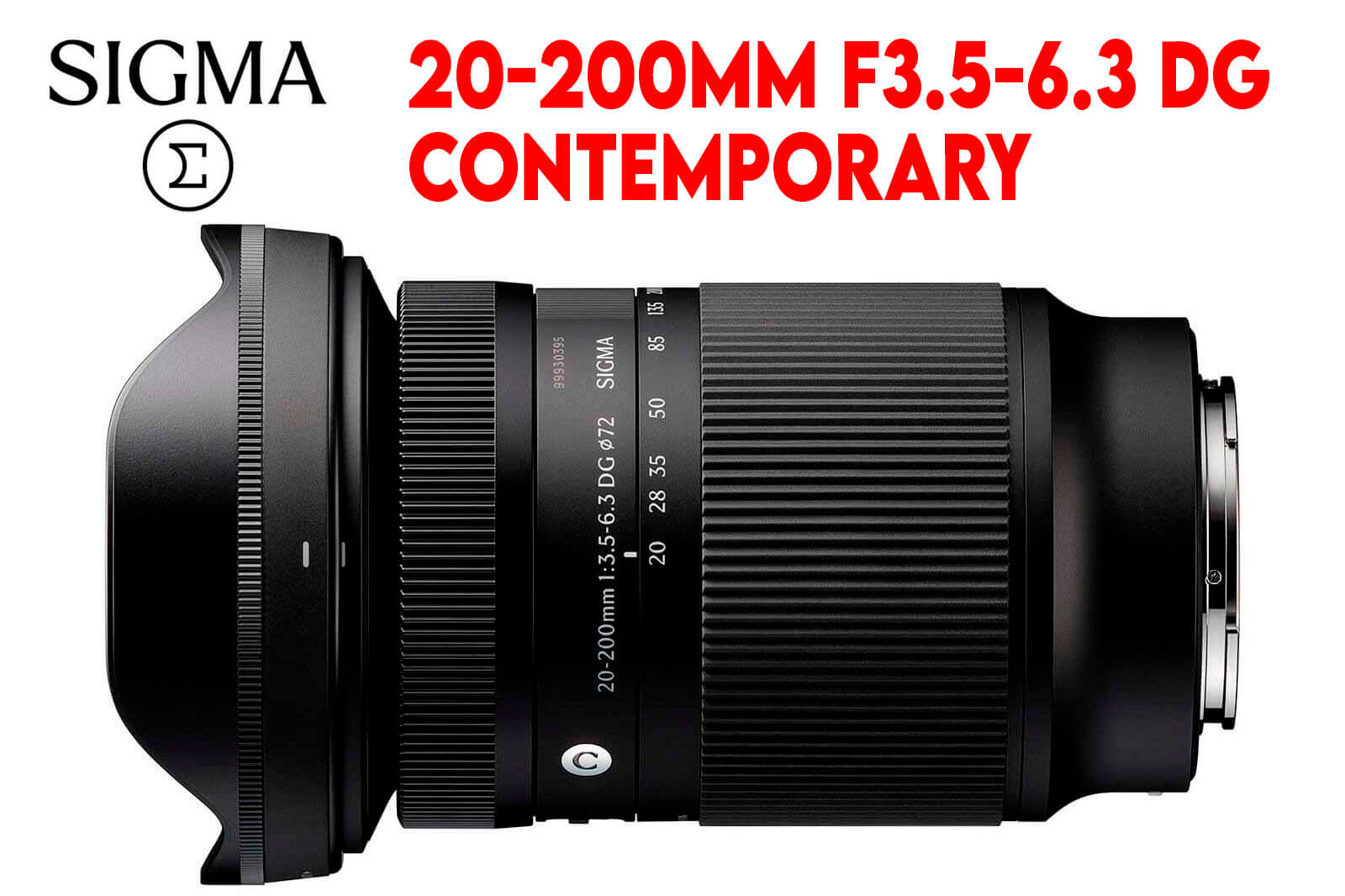 Sigma 135mm F1.4 DG Art | El nuevo rey del bokeh