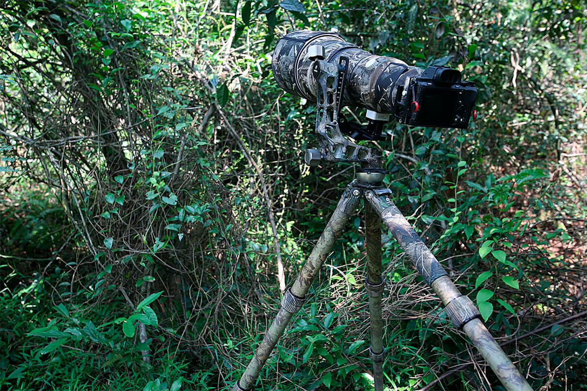 Trípode Leofoto LS-CEX Full Camo con nivelador integrado