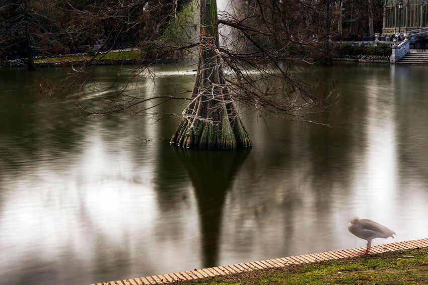 Fotografía del Parque de El Retiro con trípode Fotografía del Parque de El Retiro con trípode