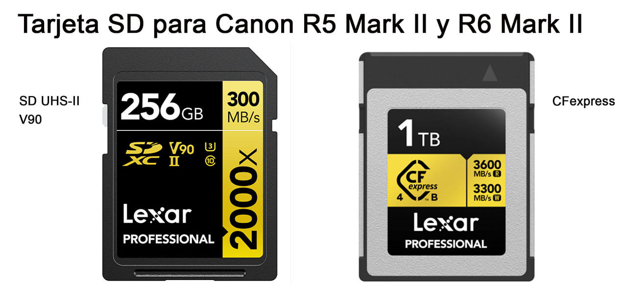 Tarjeta SD para Canon R5 Mark II y R6 Mark II