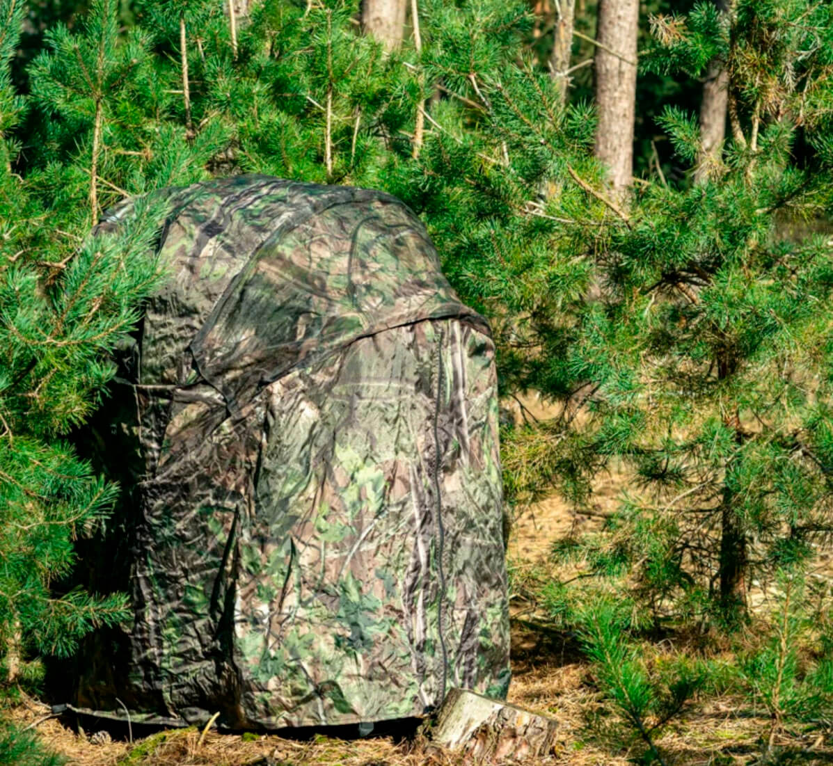 Silla hide de camuflaje verde entre vegetación