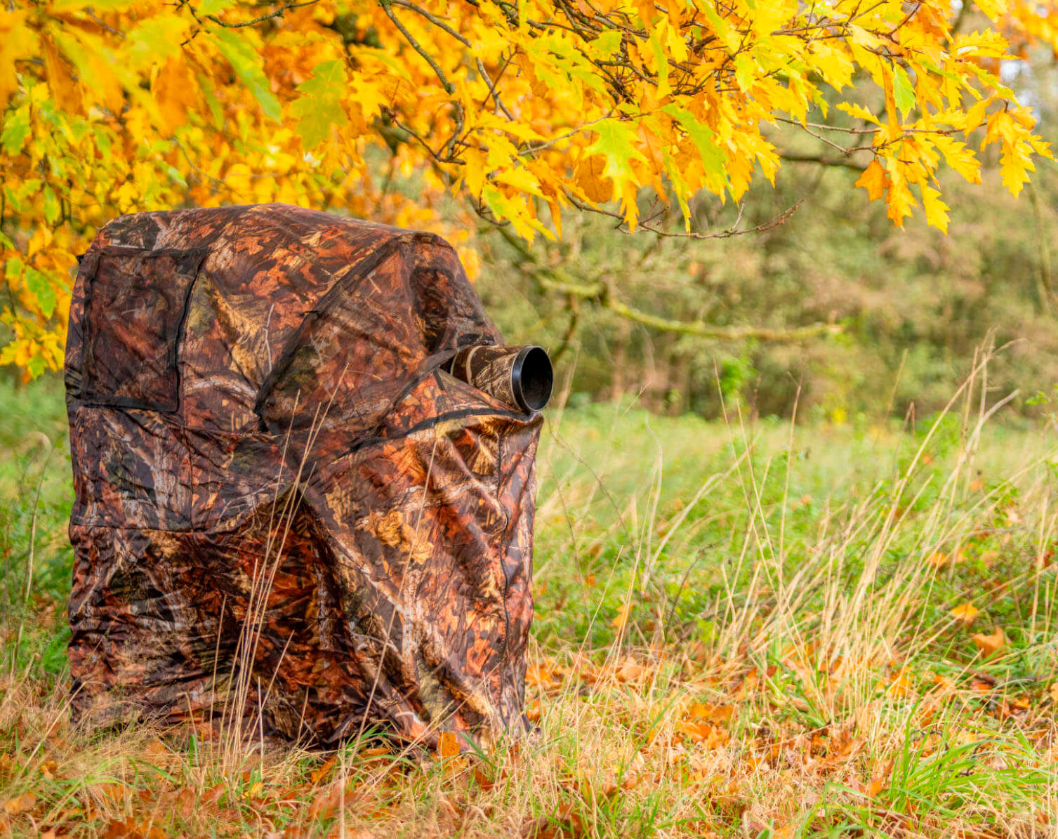 Hide con silla integrada en vegetación de otoño