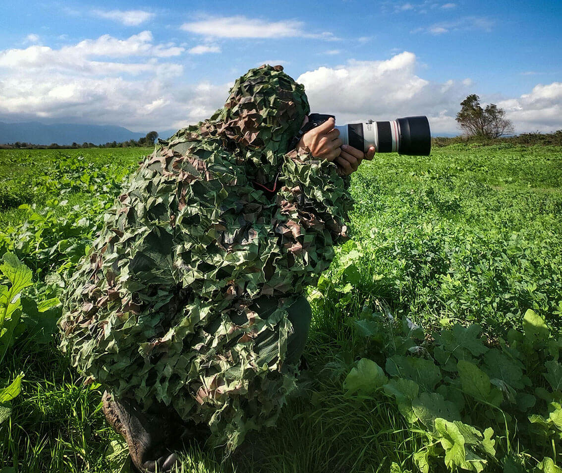 Red de camuflaje verde para fotografía de fauna
