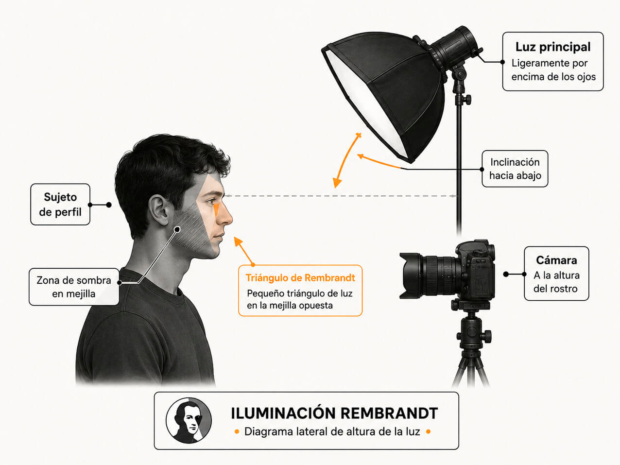 Diagrama lateral de luz Rembrandt