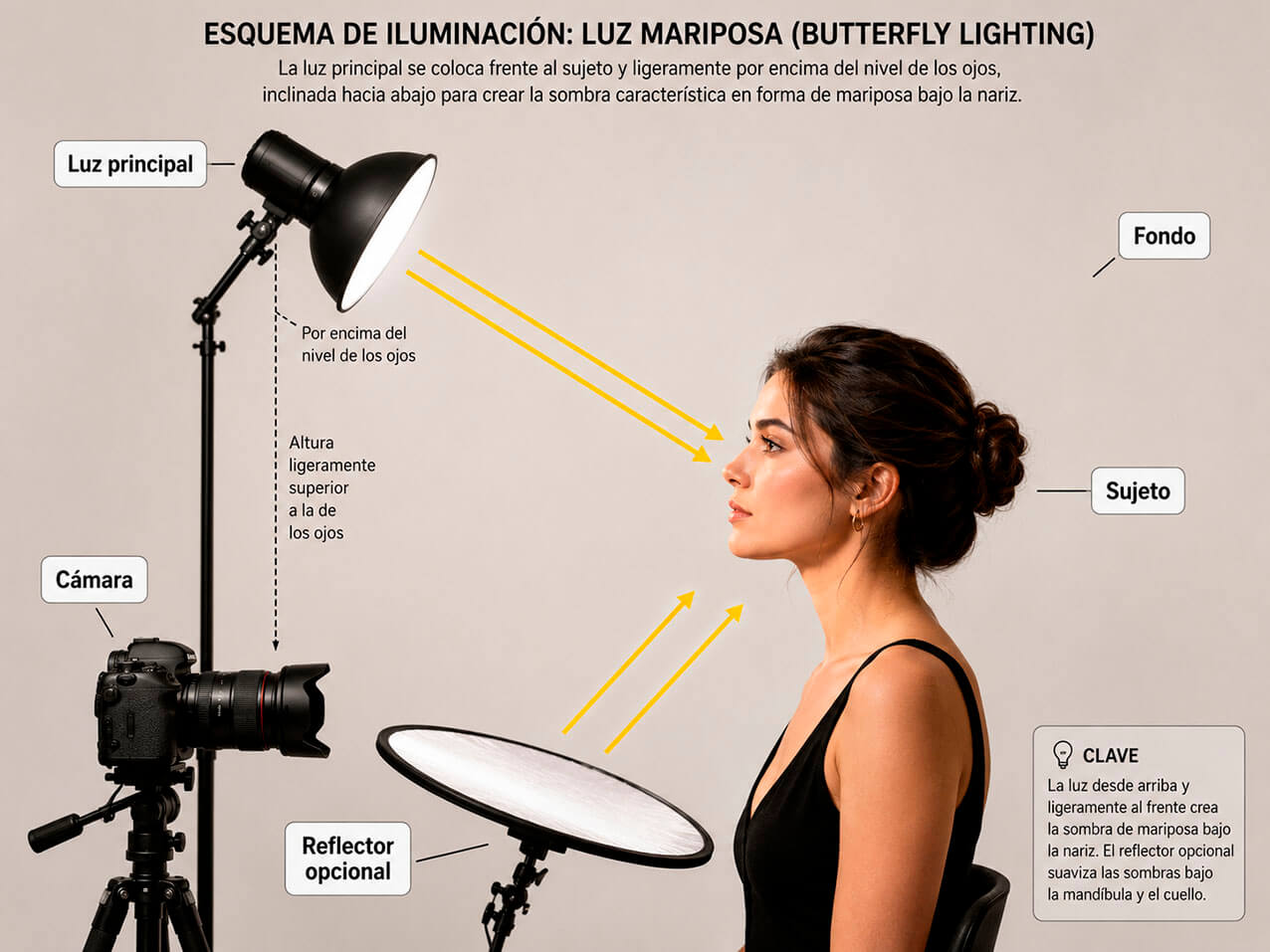 Diagrama lateral de luz butterfly con altura de la luz y reflector