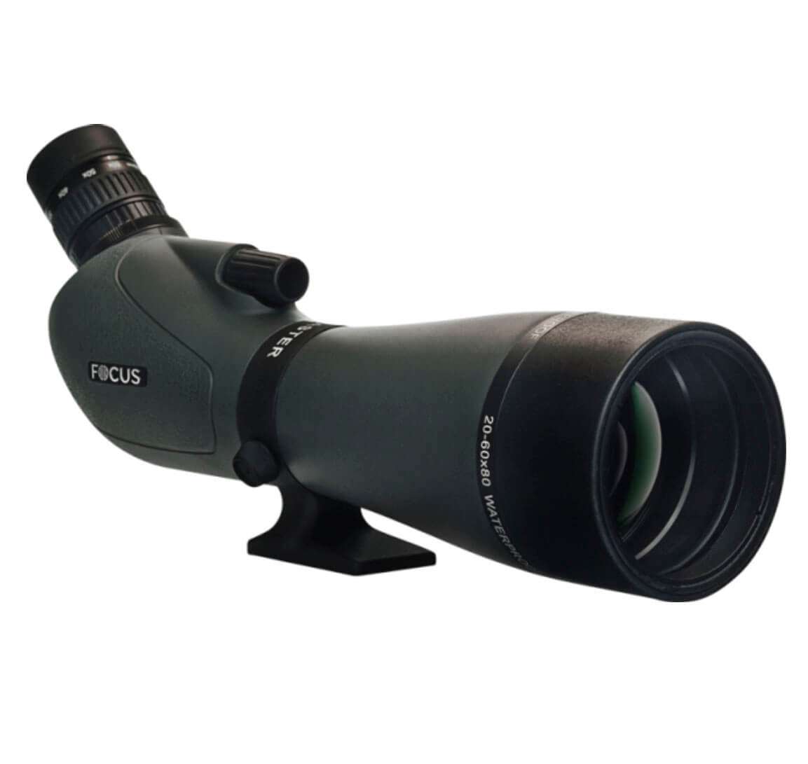 Catalejo Focus Viewmaster 20-60x80 WP