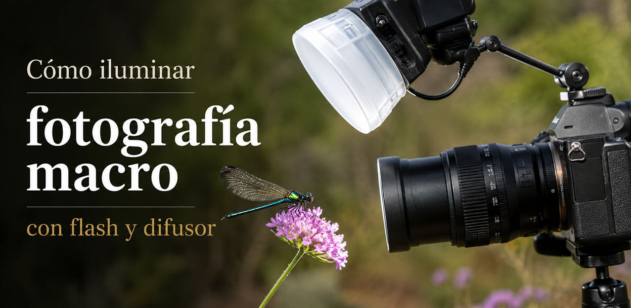 Cómo iluminar fotografía macro con flash y difusor