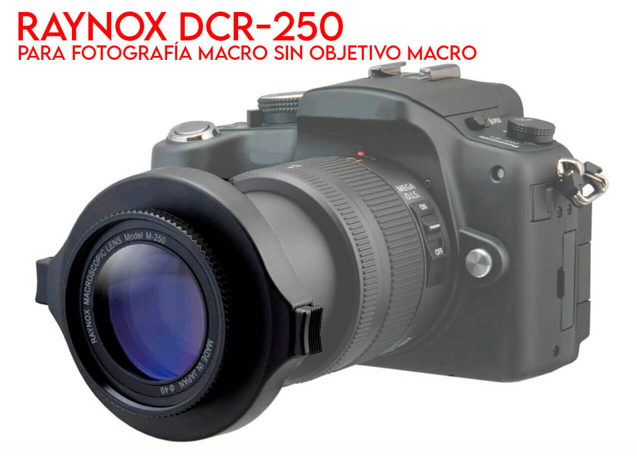 Raynox DCR-250 montado en un objetivo para fotografía macro