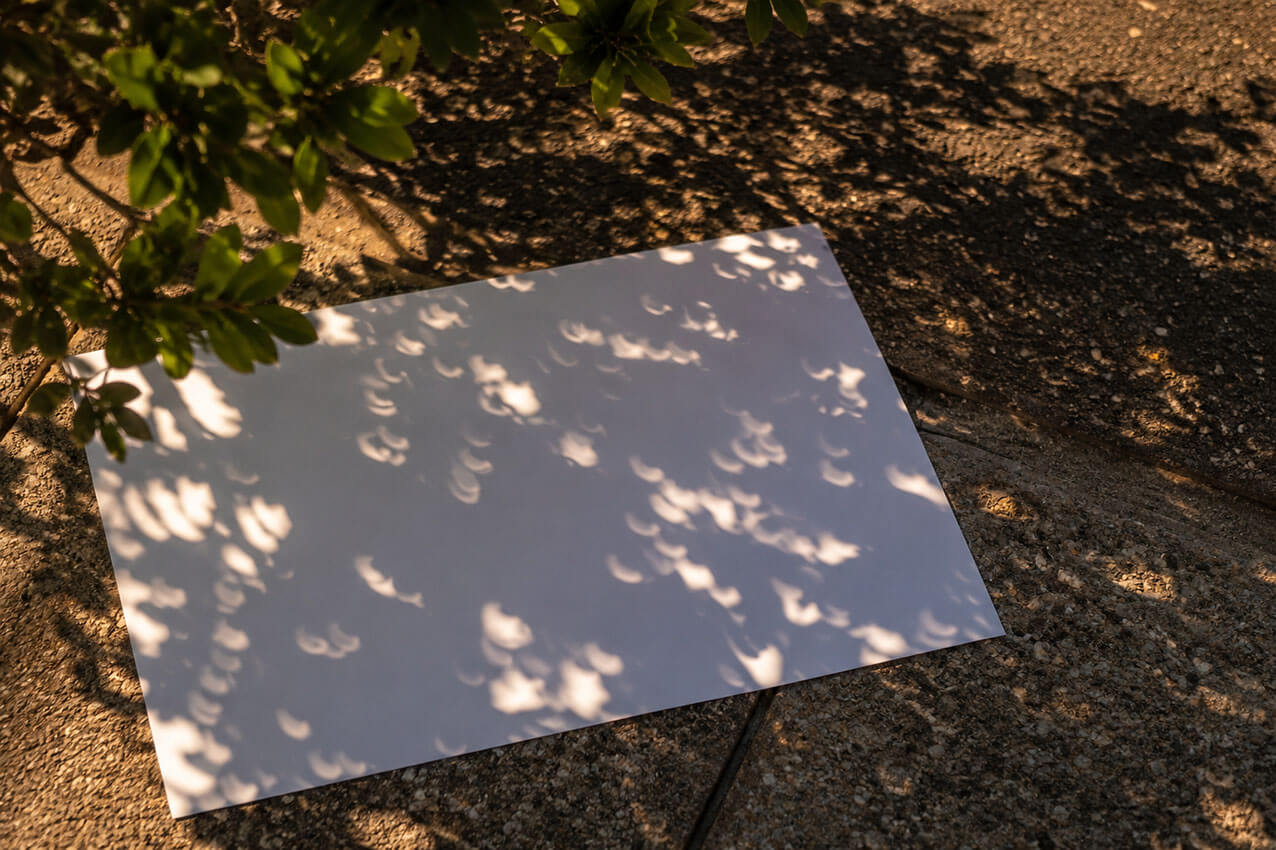 Sombras en forma de media luna durante un eclipse solar parcial