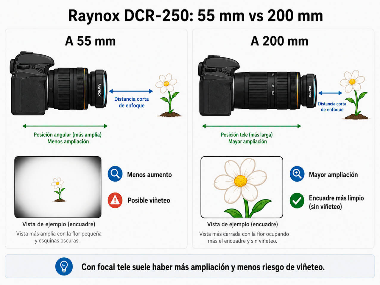 Raynox DCR-250 a 55 mm y 200 mm para comparar ampliación y viñeteo